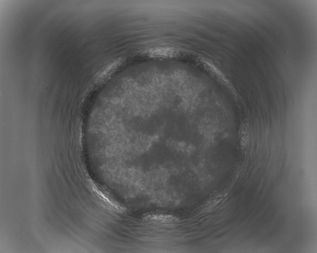 X0000080190637200701051724