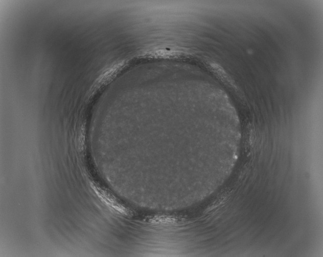 X0000080190640200701051724