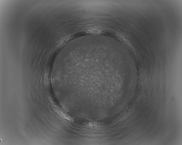 X0000080190641200701051724