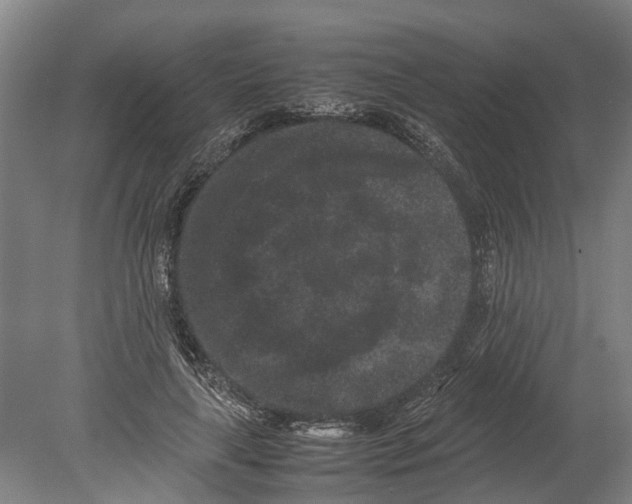 X0000080190643200701051724