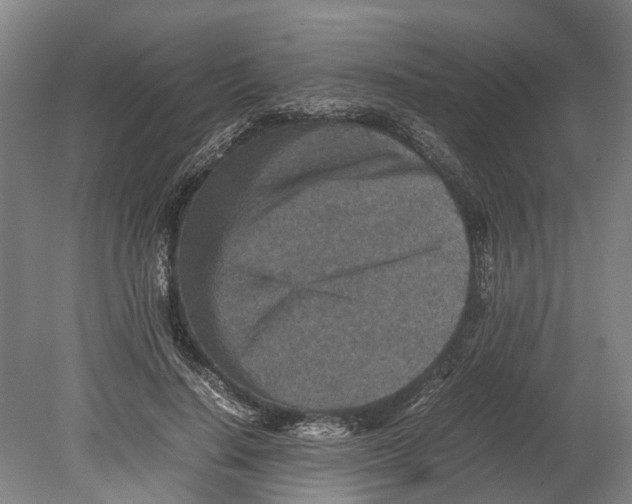 X0000080190644200701051724