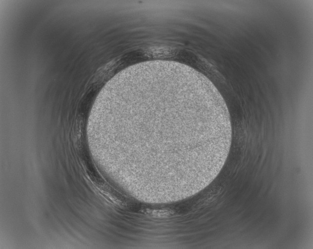 X0000080190645200701051724