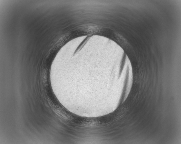 X0000080190646200701051724