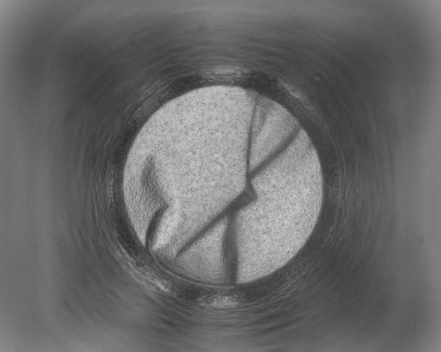 X0000080190647200701051724