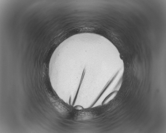 X0000080190649200701051724