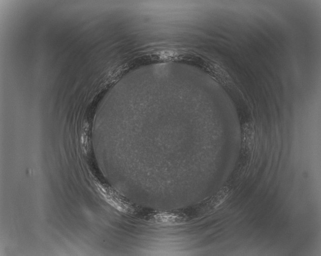 X0000080190650200701051724