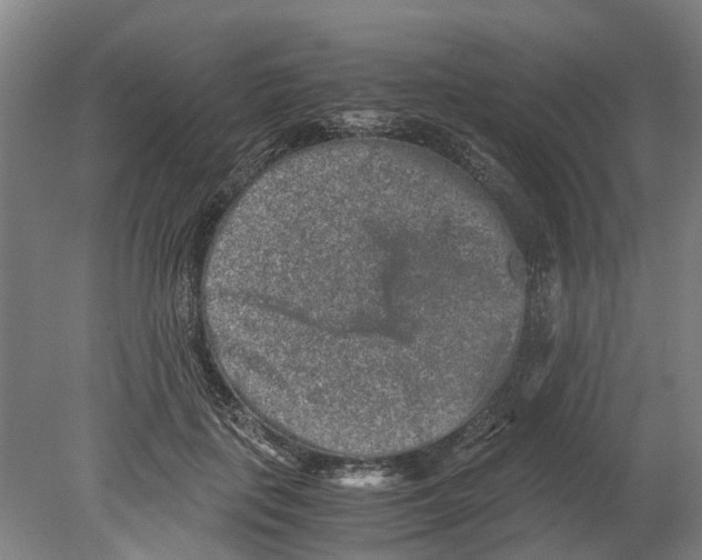 X0000080190651200701051724