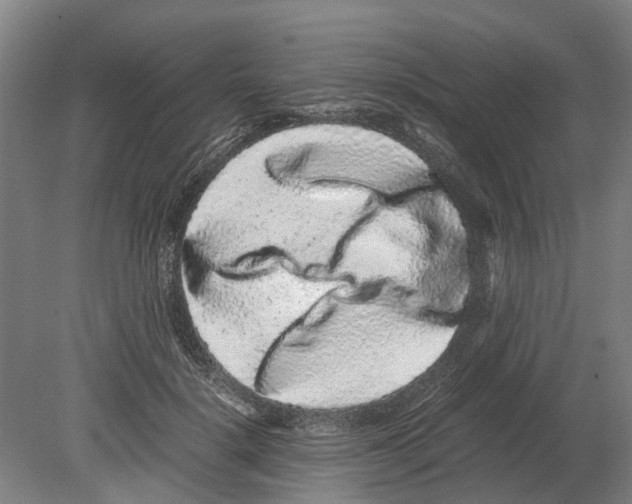 X0000080190652200701051724