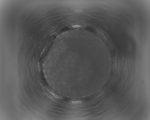 X0000080190653200701051724