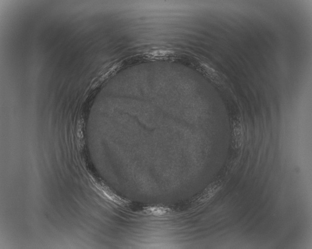 X0000080190654200701051724