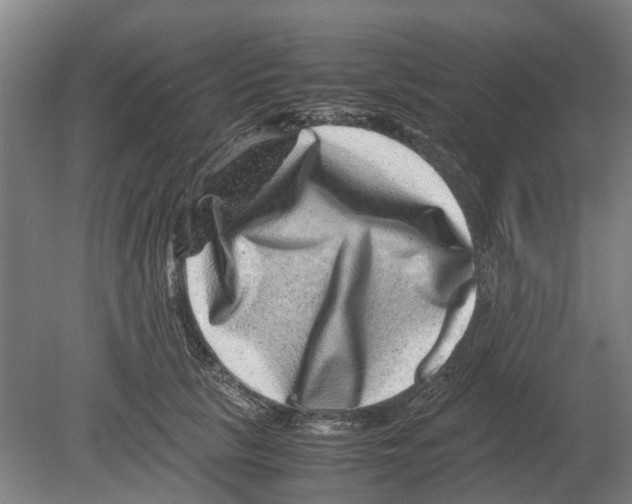 X0000080190657200701051724