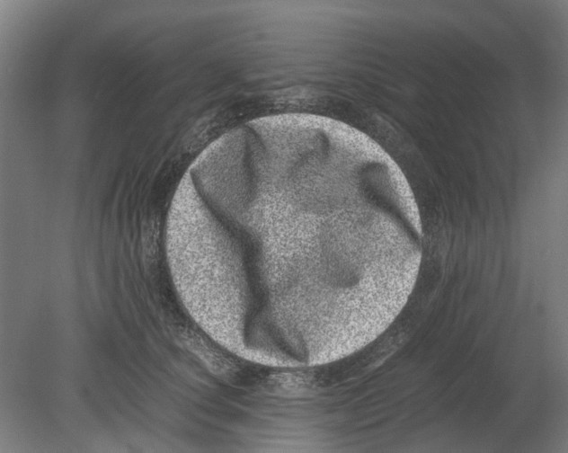 X0000080190660200701051724