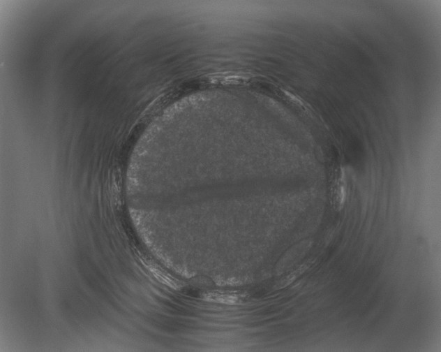 X0000080190661200701051724