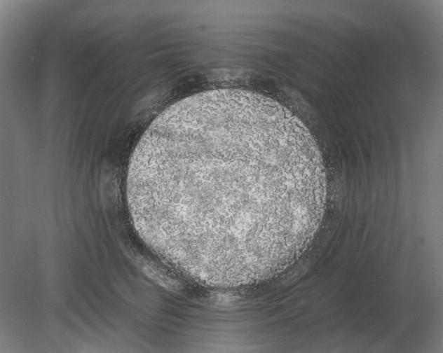 X0000080190662200701051724