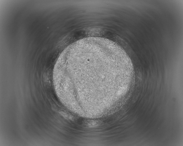 X0000080190663200701051724