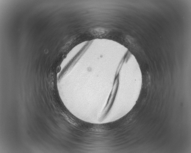 X0000080190664200701051724