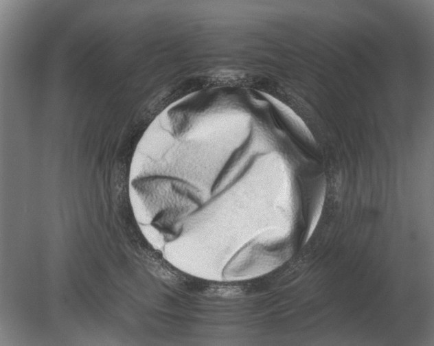 X0000080190665200701051724