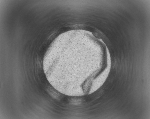 X0000080190669200701051724