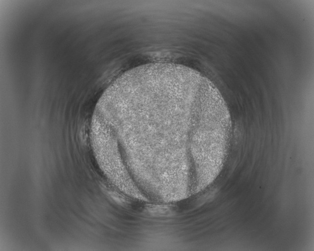 X0000080190671200701051724