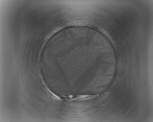 X0000080190673200701051724