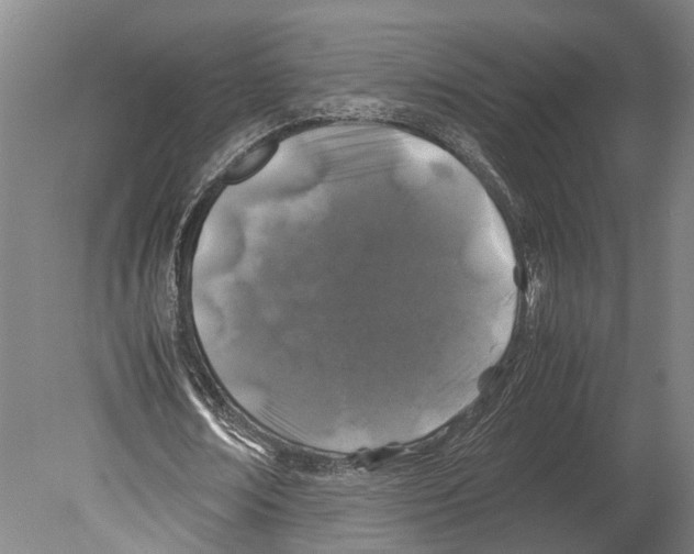 X0000080190674200701051723