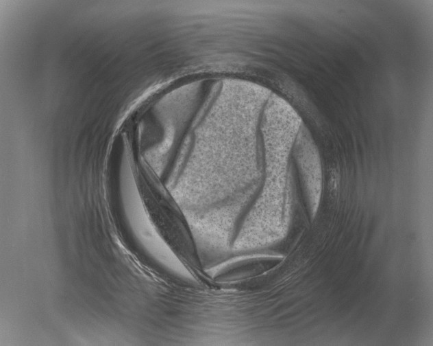 X0000080190676200701051723