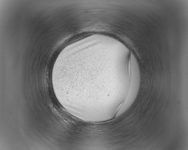 X0000080190680200701051723