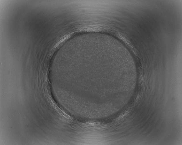 X0000080190681200701051723