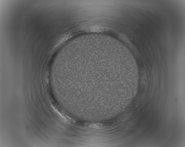 X0000080190683200701051723