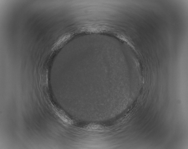 X0000080190685200701051723