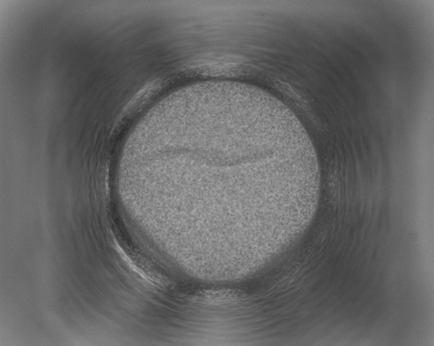 X0000080190686200701051723