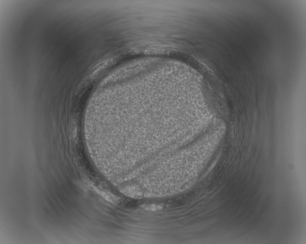 X0000080190687200701051723