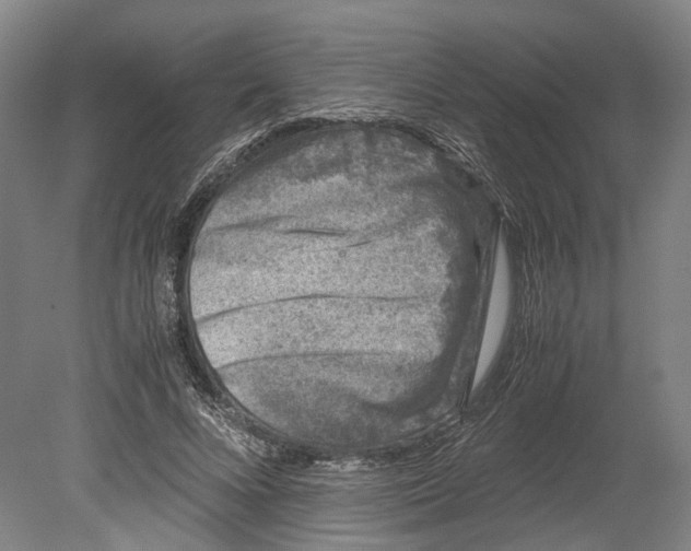 X0000080190688200701051723