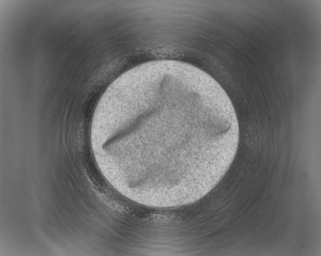 X0000080190690200701051723