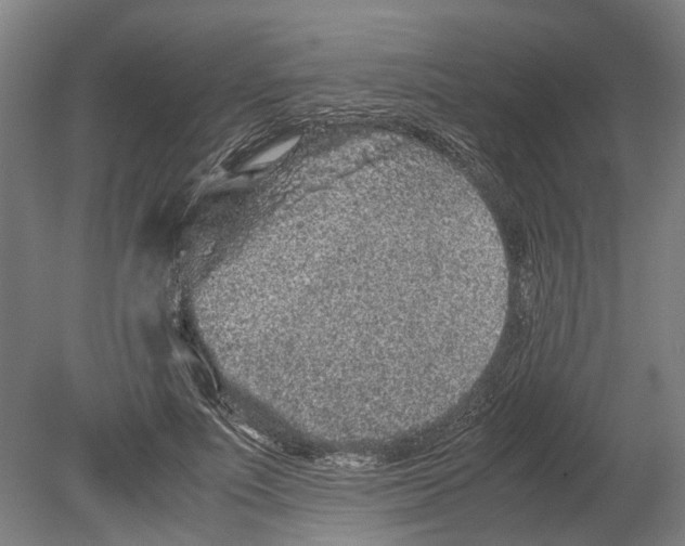 X0000080190691200701051723