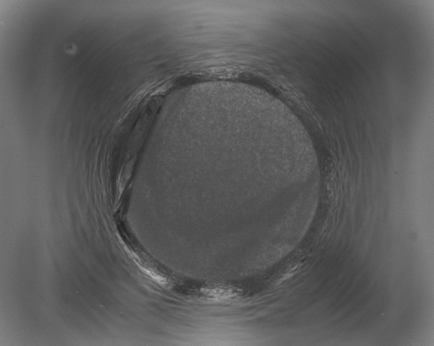 X0000080190693200701051723