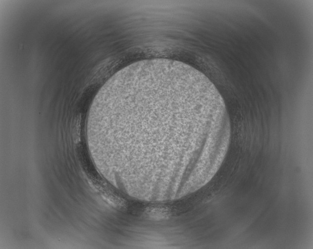 X0000080190694200701051723