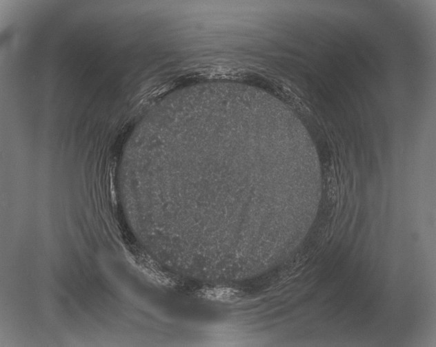 X0000080190695200701051723