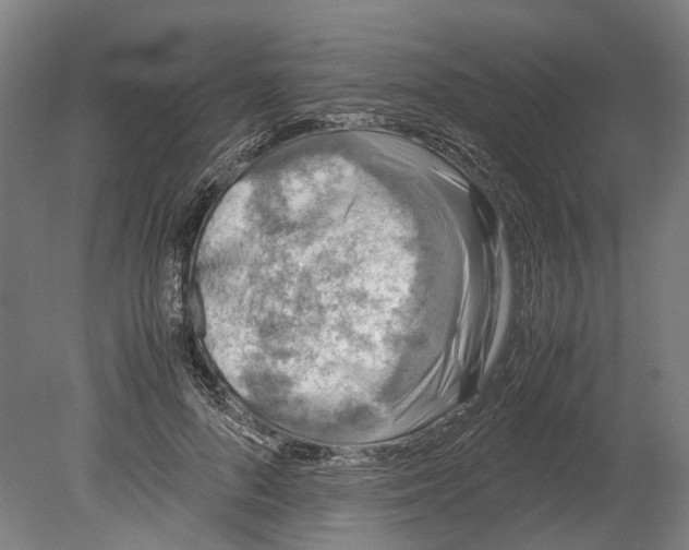 X0000080190696200701051723