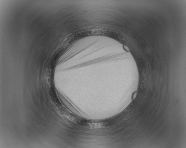 X0000080190698200701051723