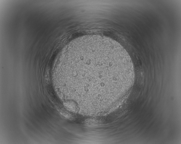 X0000080190699200701051723