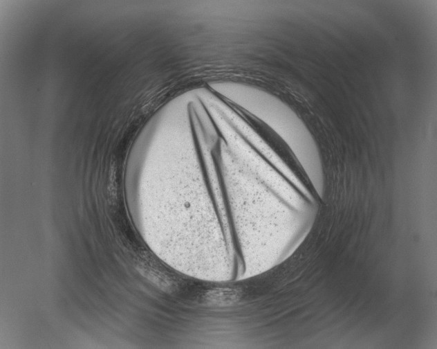 X0000080190700200701051723