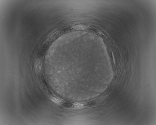 X0000080190701200701051723