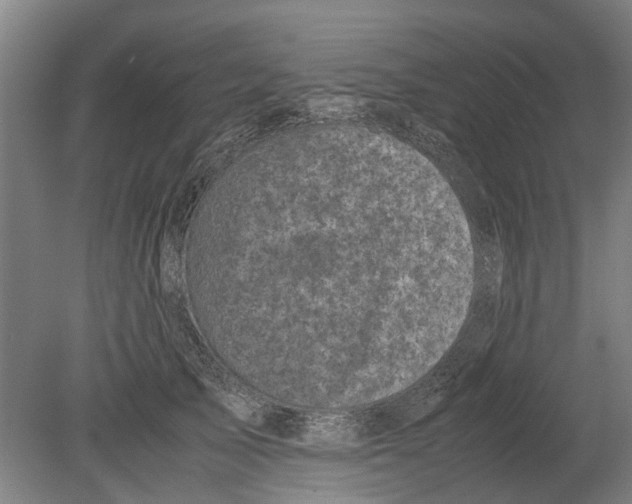 X0000080190705200701051723