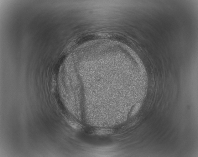 X0000080190707200701051723