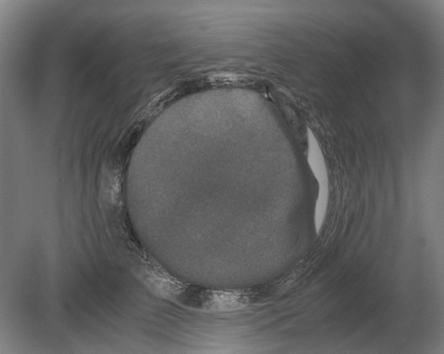 X0000080190709200701051723