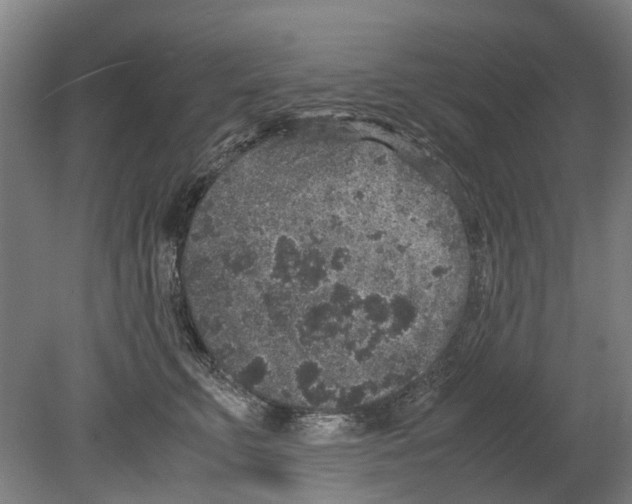 X0000080190711200701051723