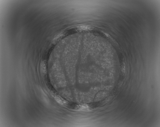 X0000080190715200701051723