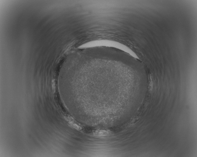 X0000080190716200701051723