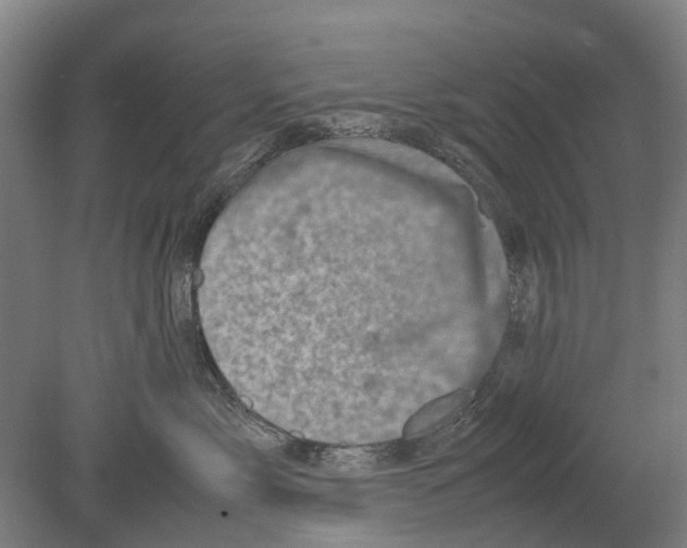 X0000080190717200701051723